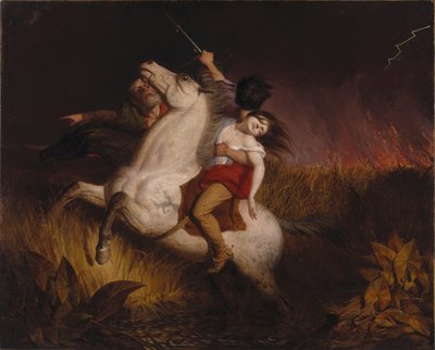 Prärie in Flammen von Charles Deas
